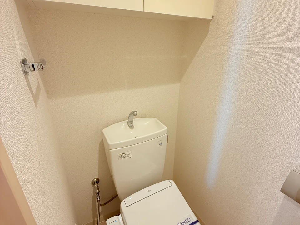 Toilet1