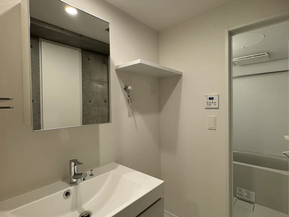 Vanity Area