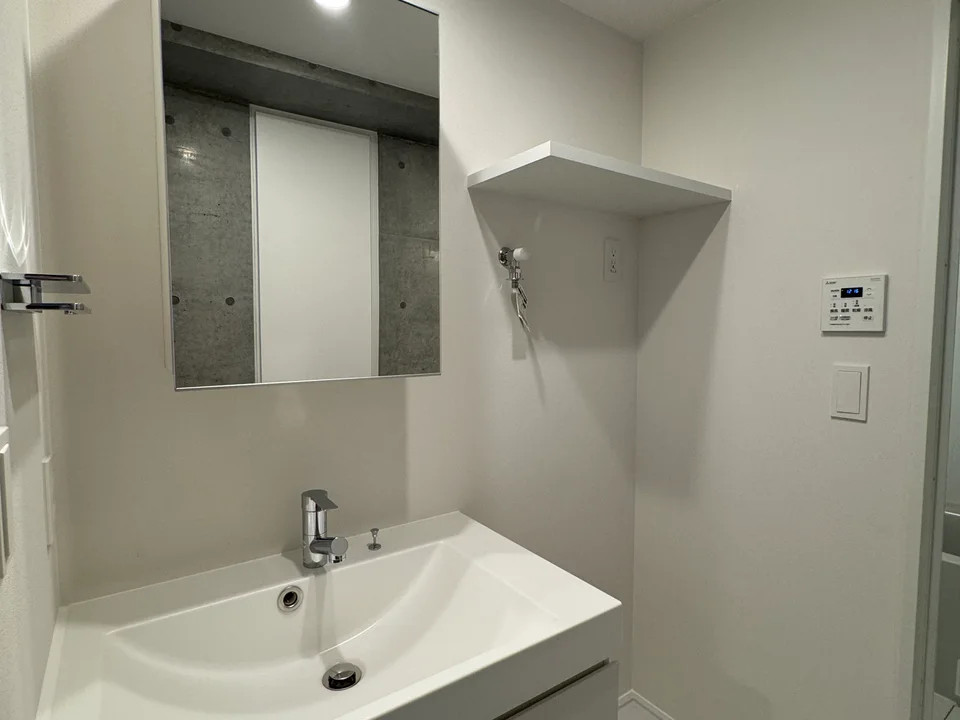 Vanity Area