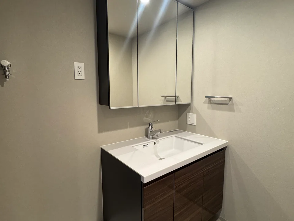 Vanity Area