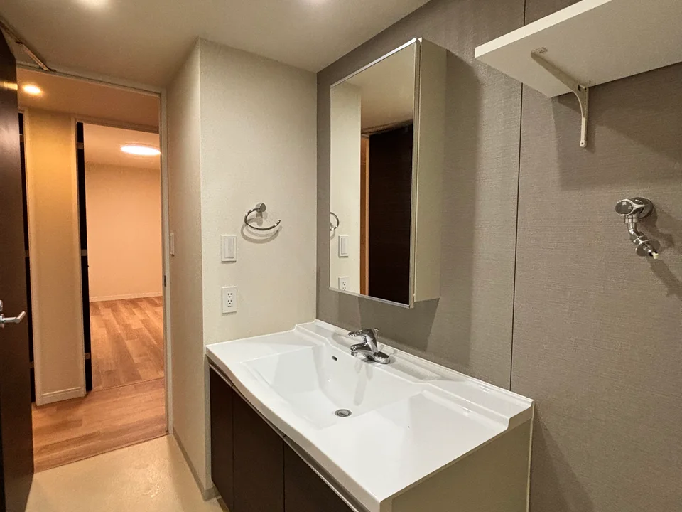 Vanity Area