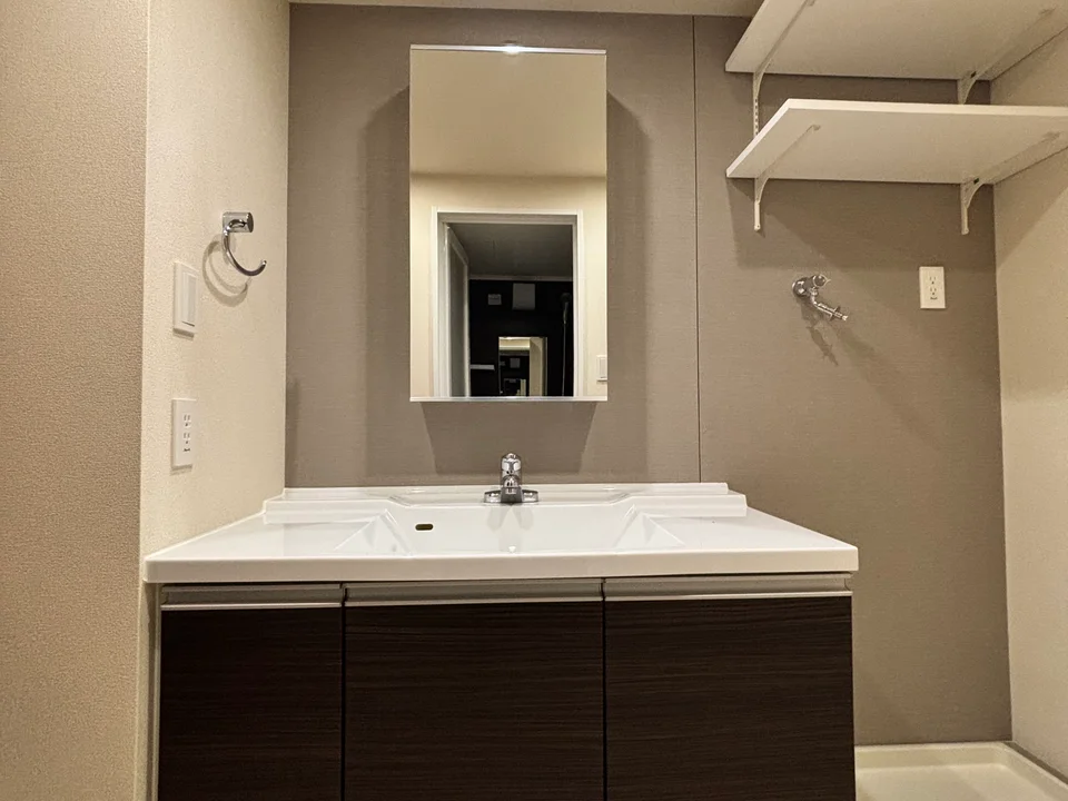 Vanity Area