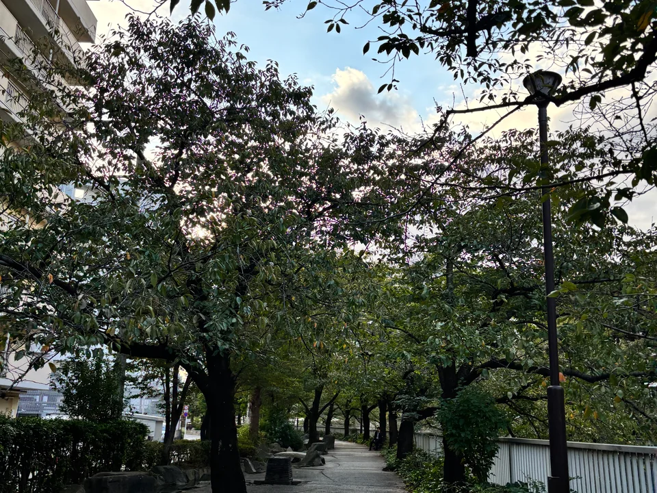 Scenery