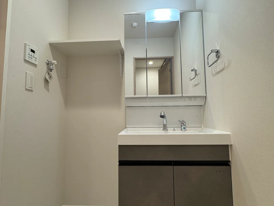 Vanity Area