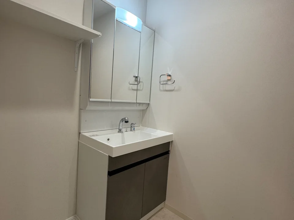Vanity Area