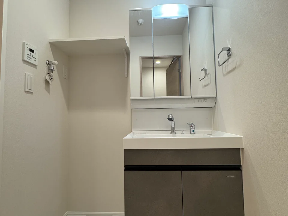 Vanity Area