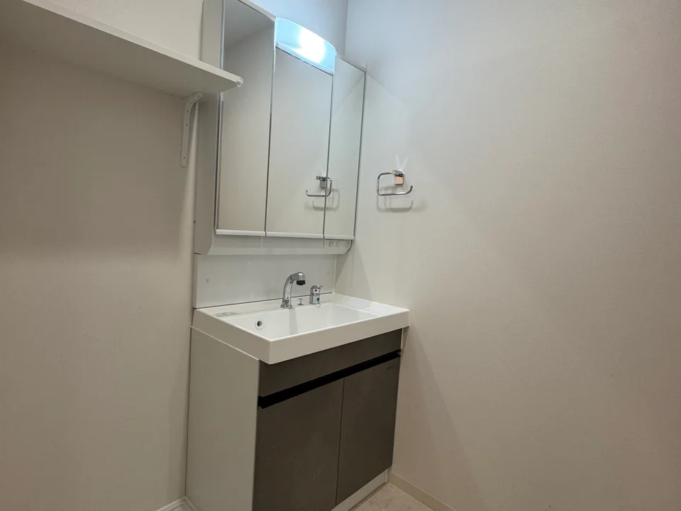 Vanity Area