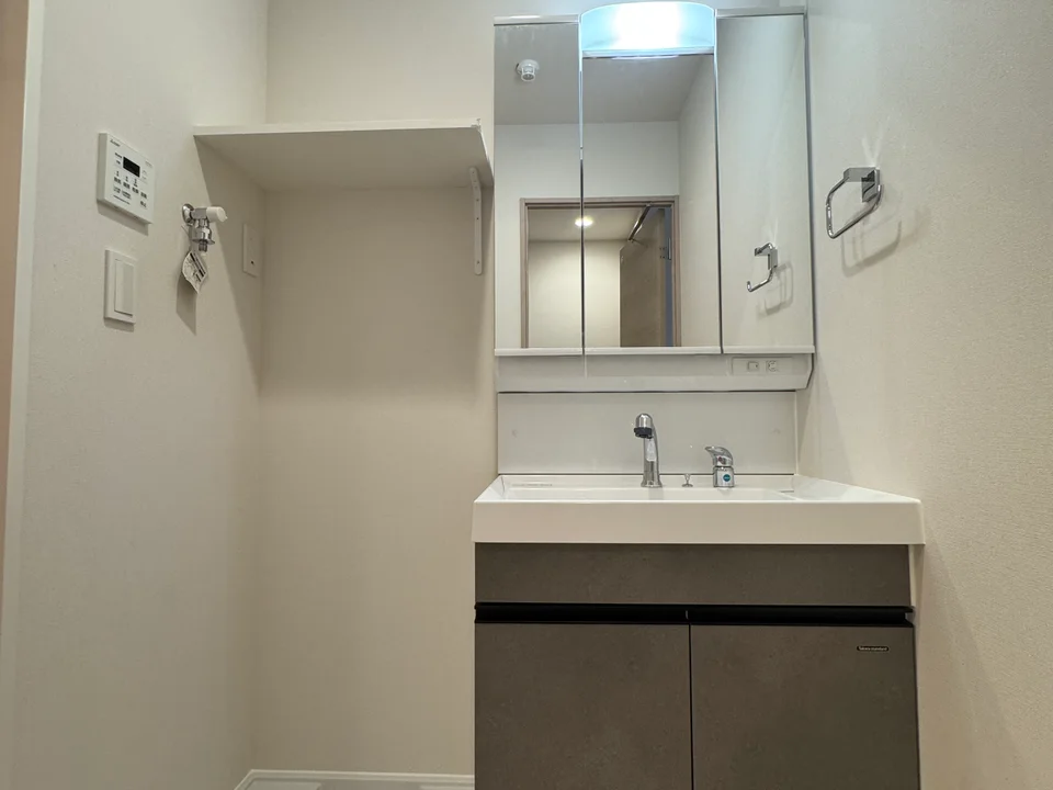 Vanity Area