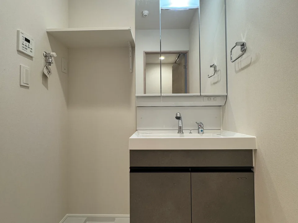 Vanity Area