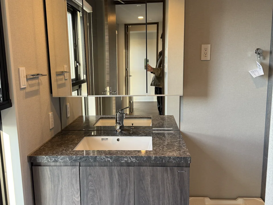 Vanity Area