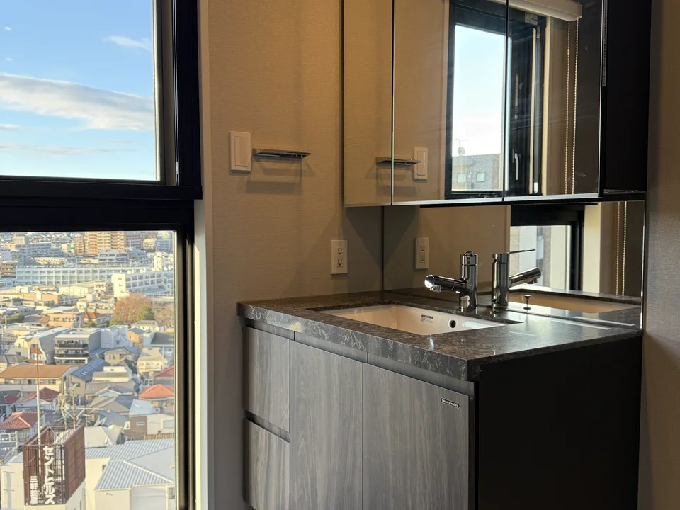 Vanity Area