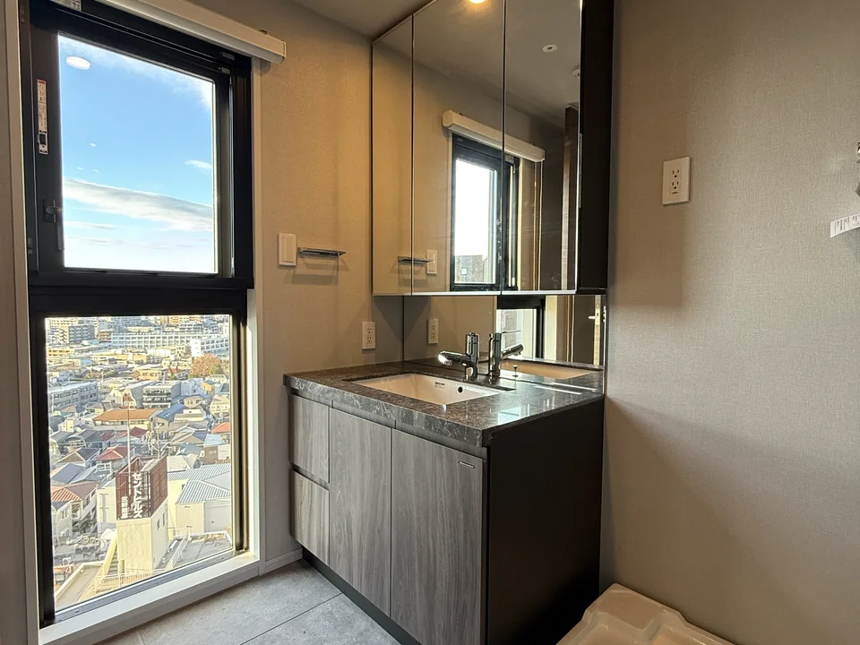 Vanity Area