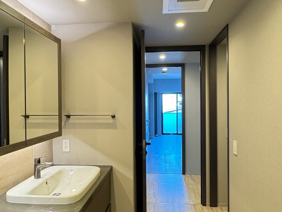 Vanity Area