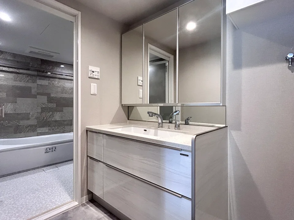 Vanity Area