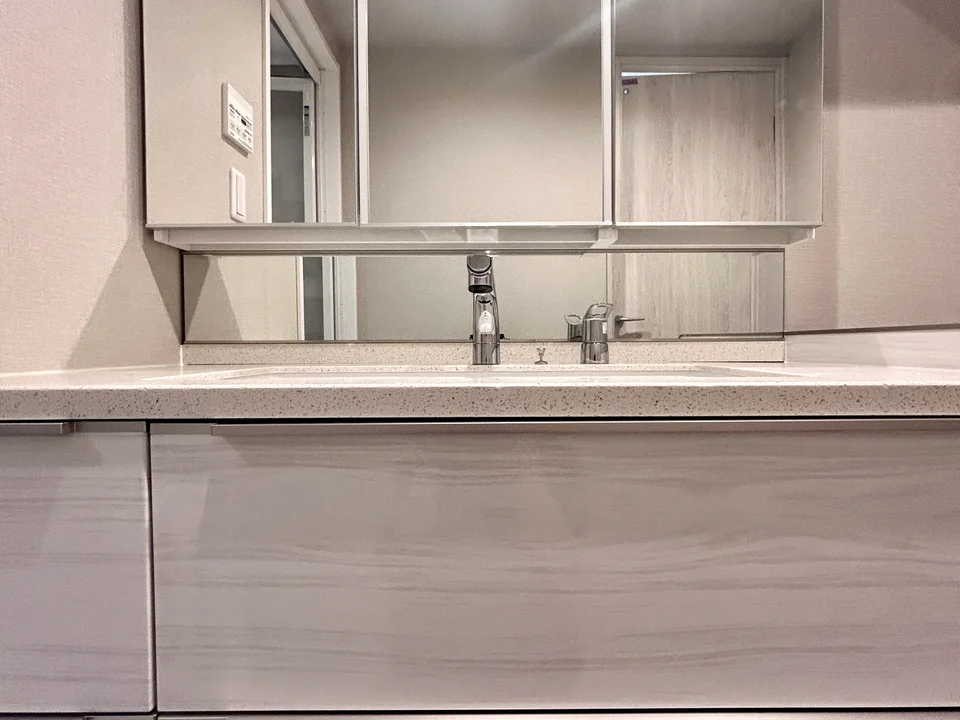 Vanity Area
