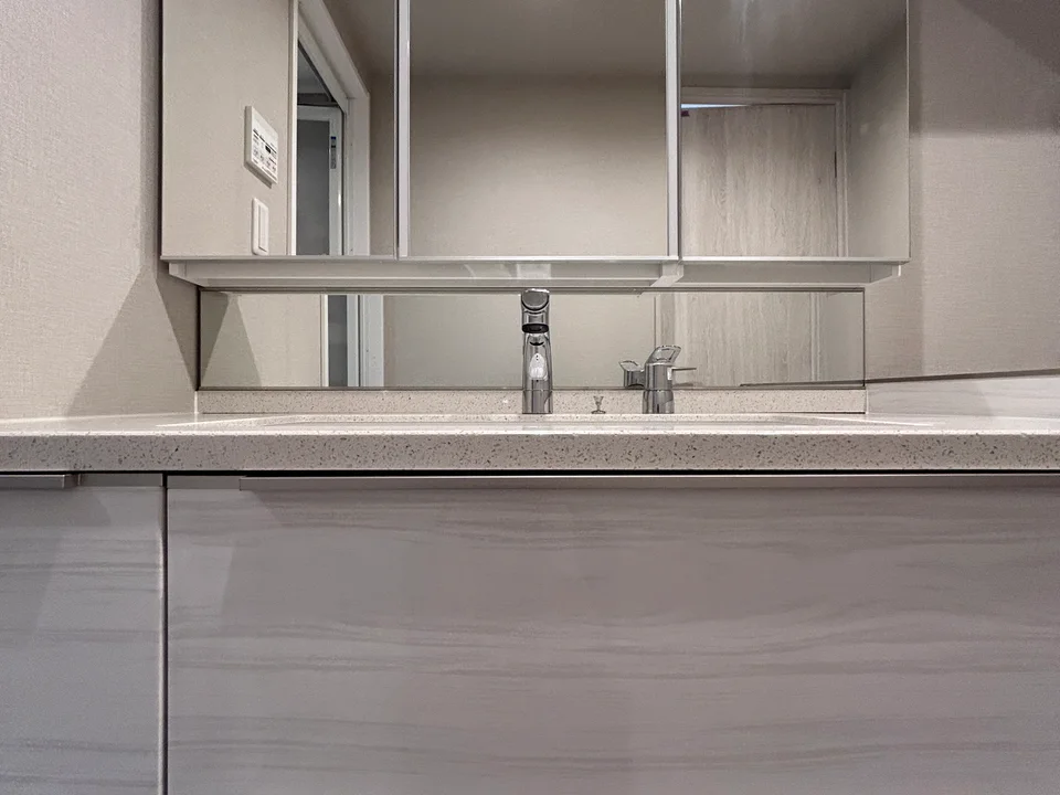 Vanity Area