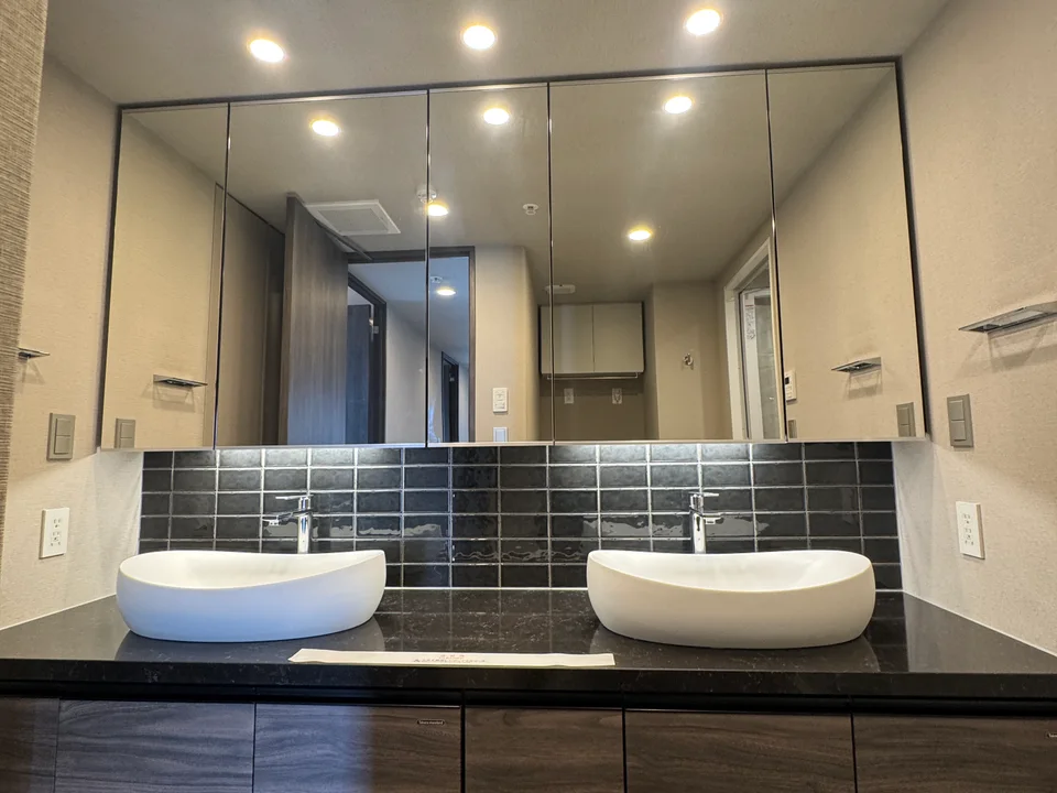Vanity Area