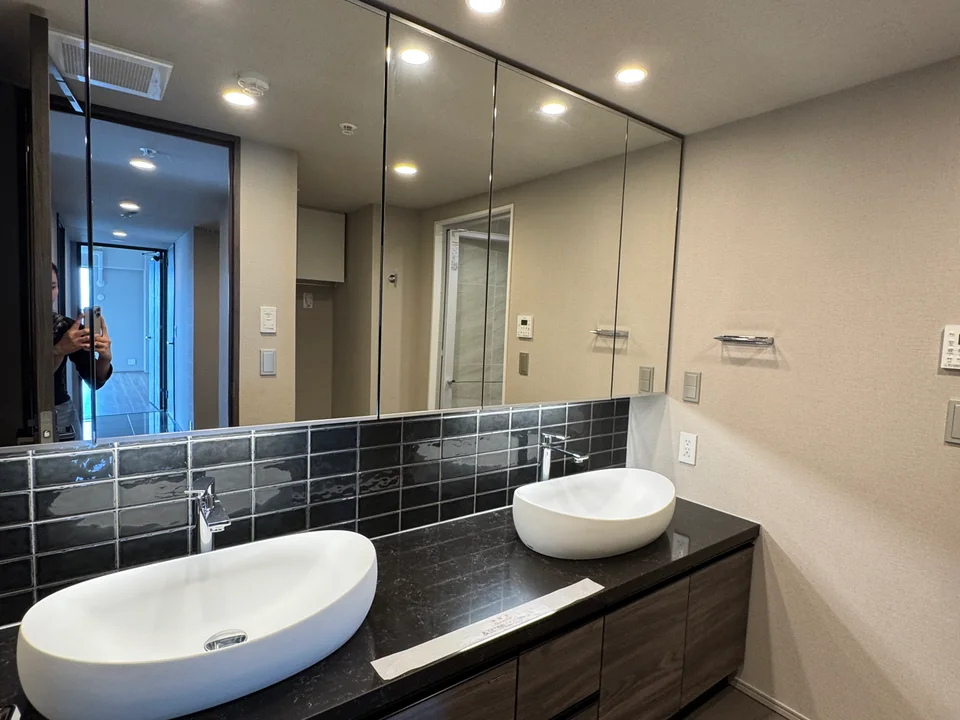 Vanity Area