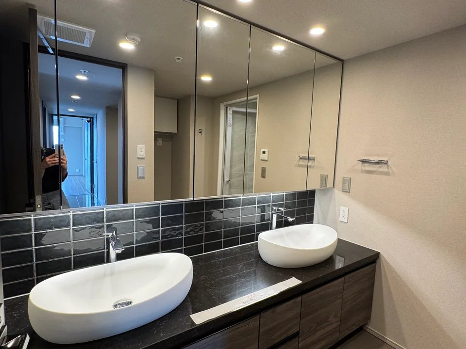 Vanity Area