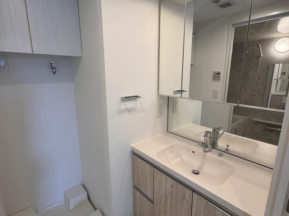 Vanity Area