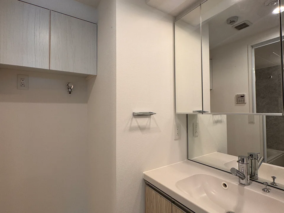 Vanity Area