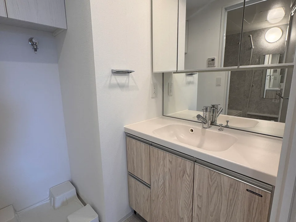 Vanity Area