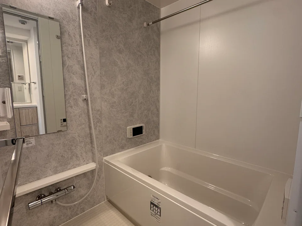 Vanity Area