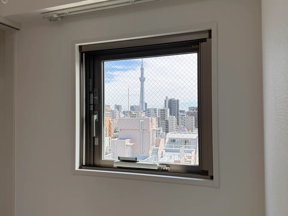 View