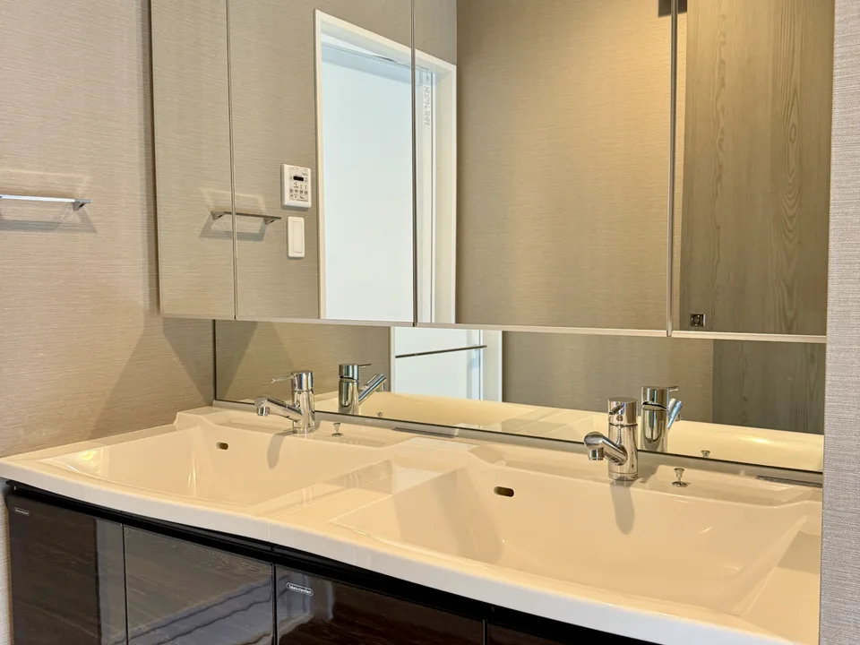 Vanity Area