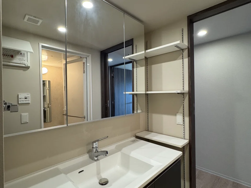 Vanity Area