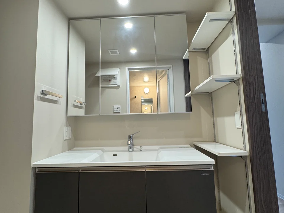 Vanity Area