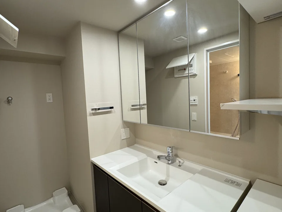 Vanity Area