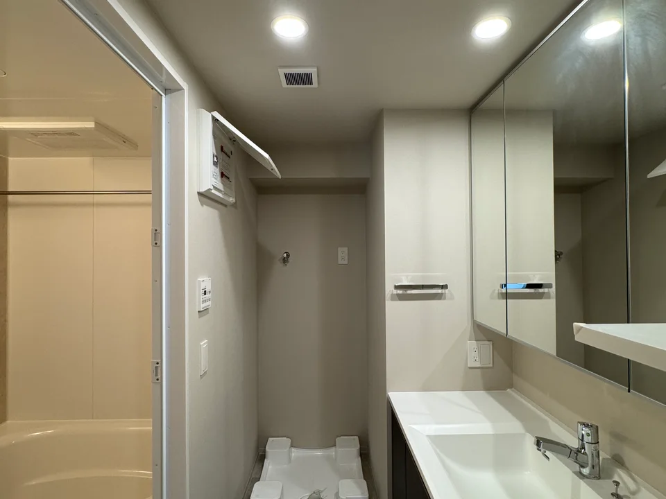Vanity Area