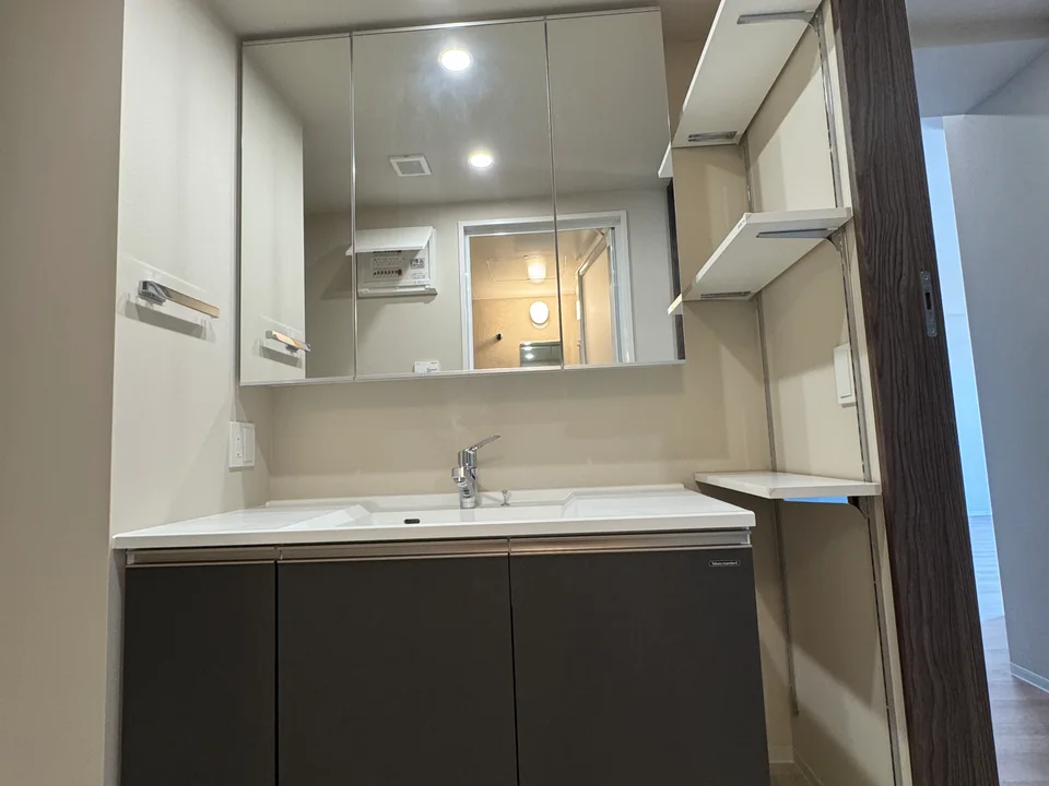 Vanity Area