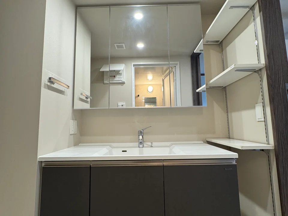 Vanity Area
