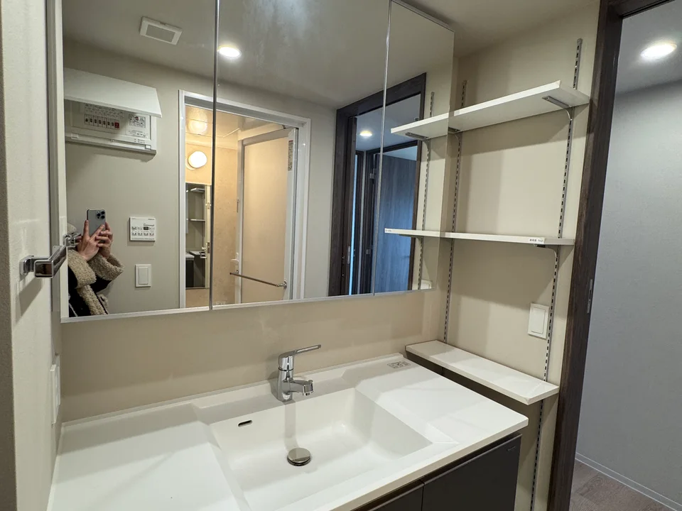 Vanity Area