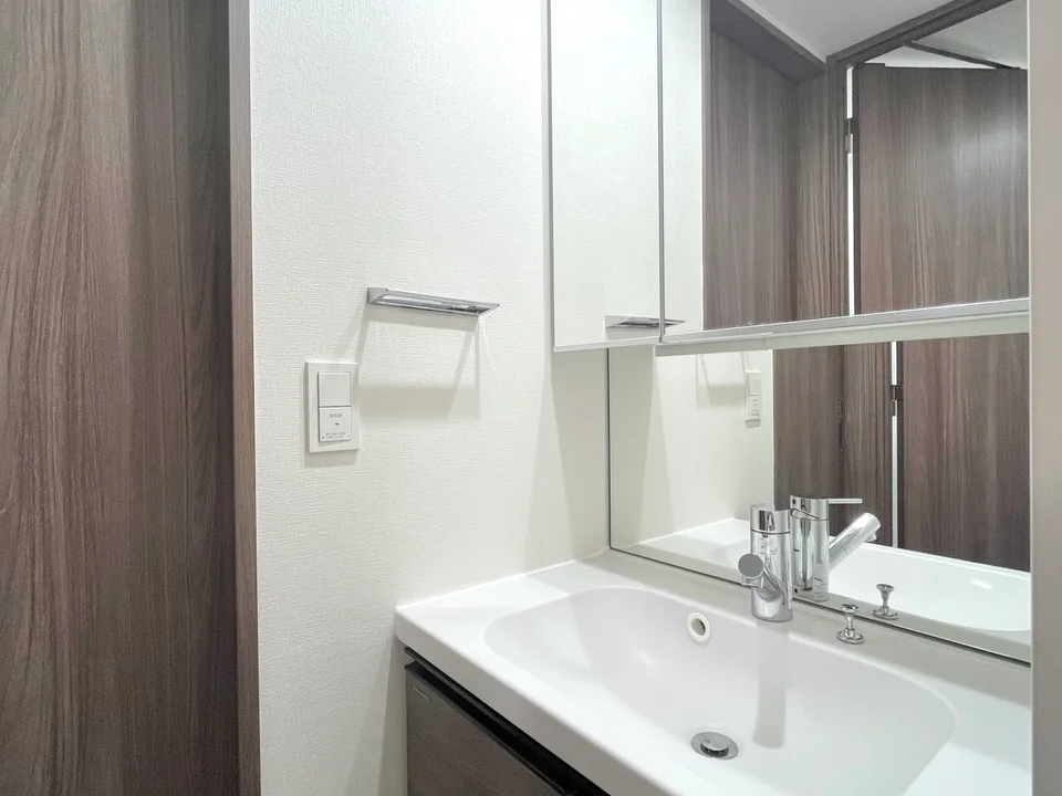 Vanity Area