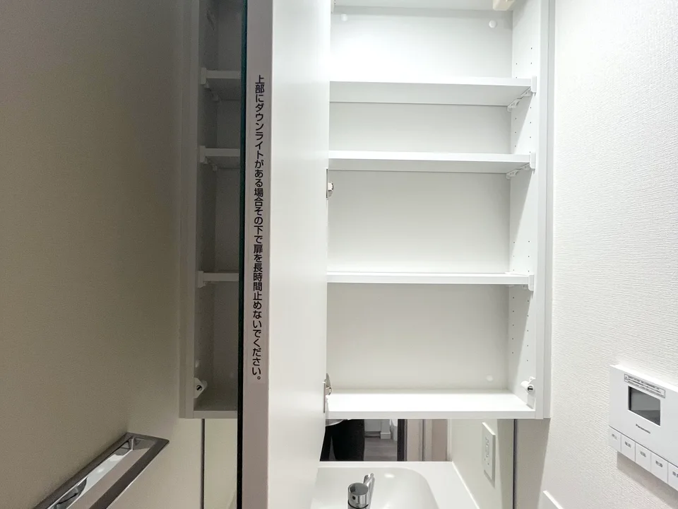 Vanity Area