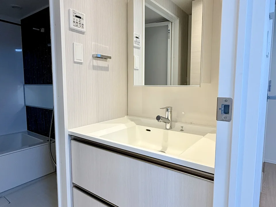 Vanity Area