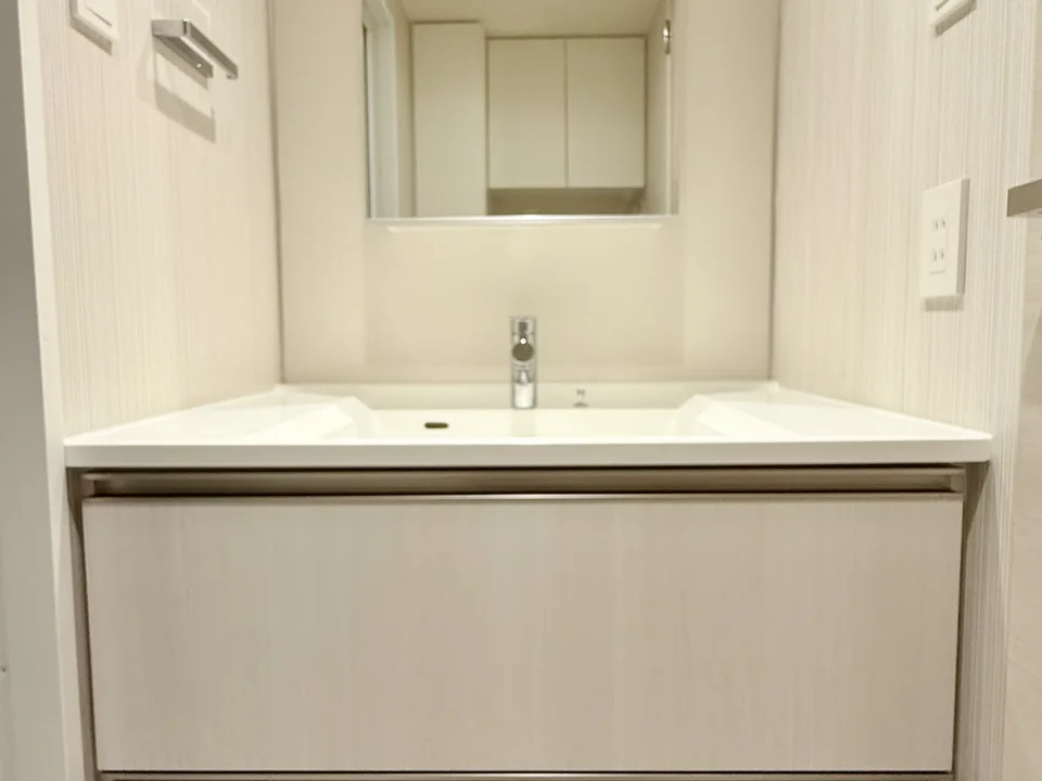 Vanity Area