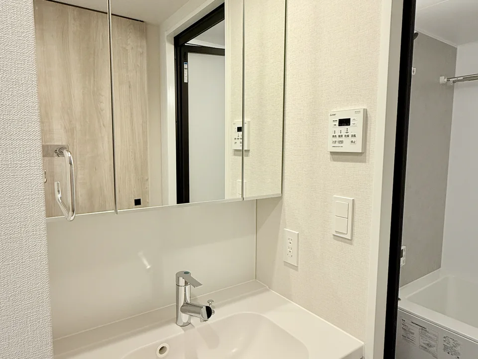 Vanity Area