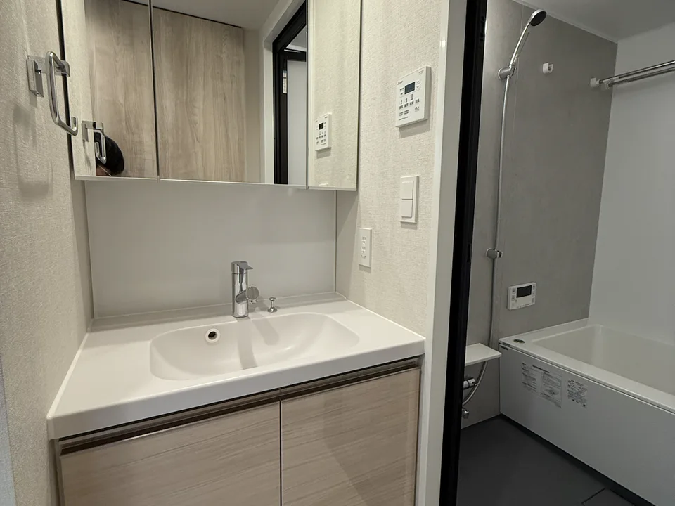 Vanity Area