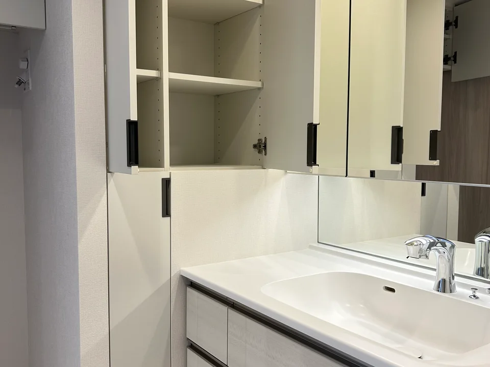 Vanity Area