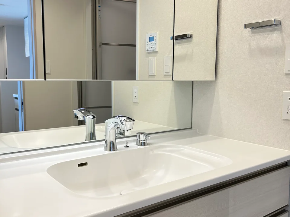 Vanity Area