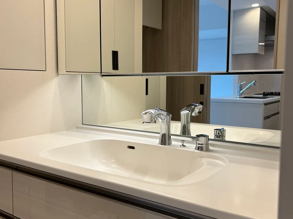 Vanity Area