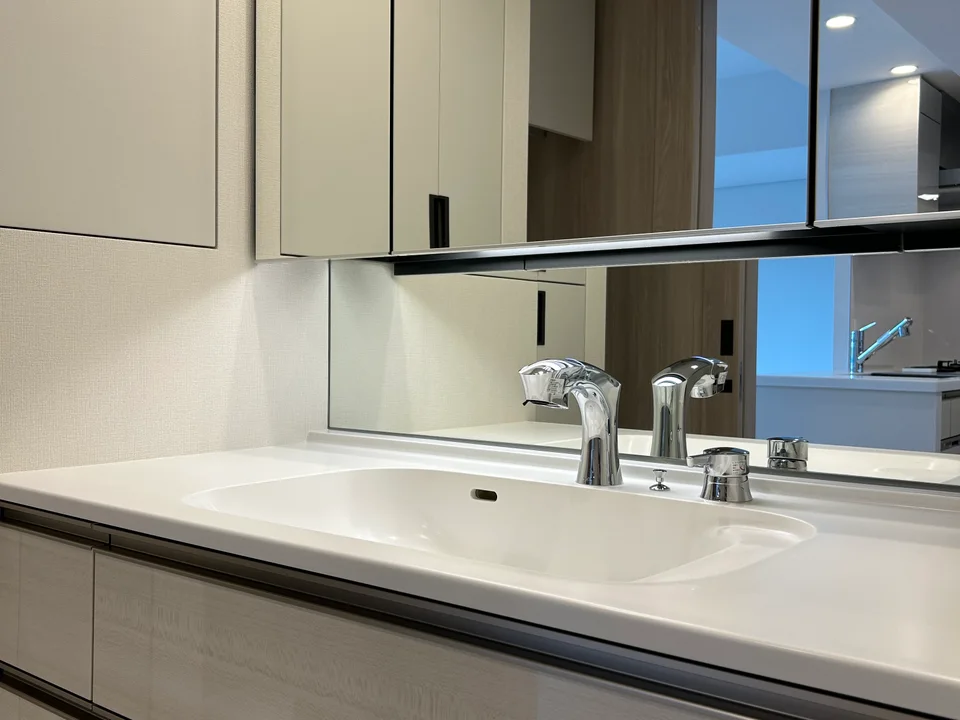 Vanity Area