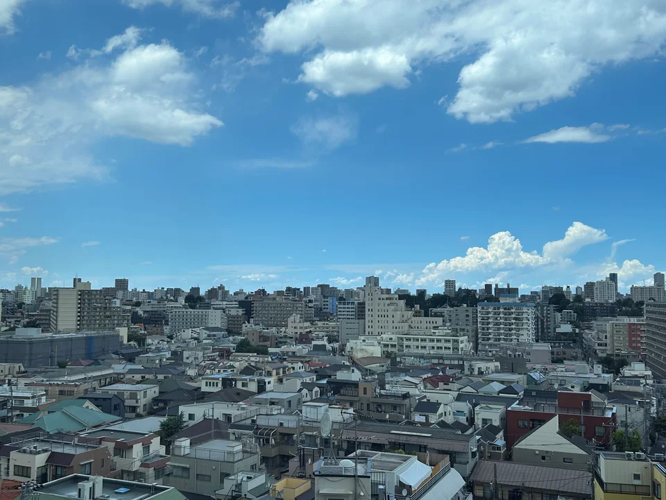 View