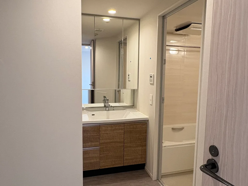 Vanity Area