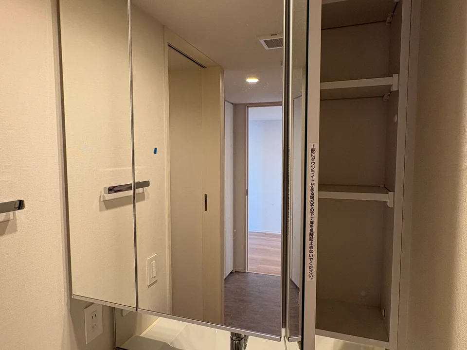 Vanity Area