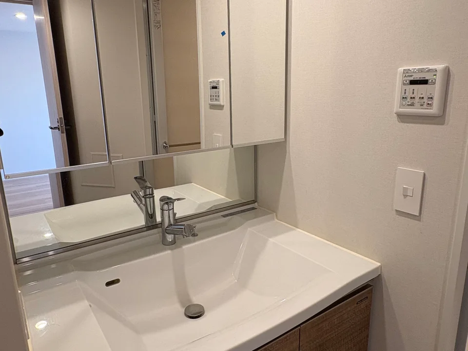 Vanity Area
